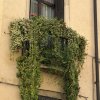 Italien Lombardei 2026 